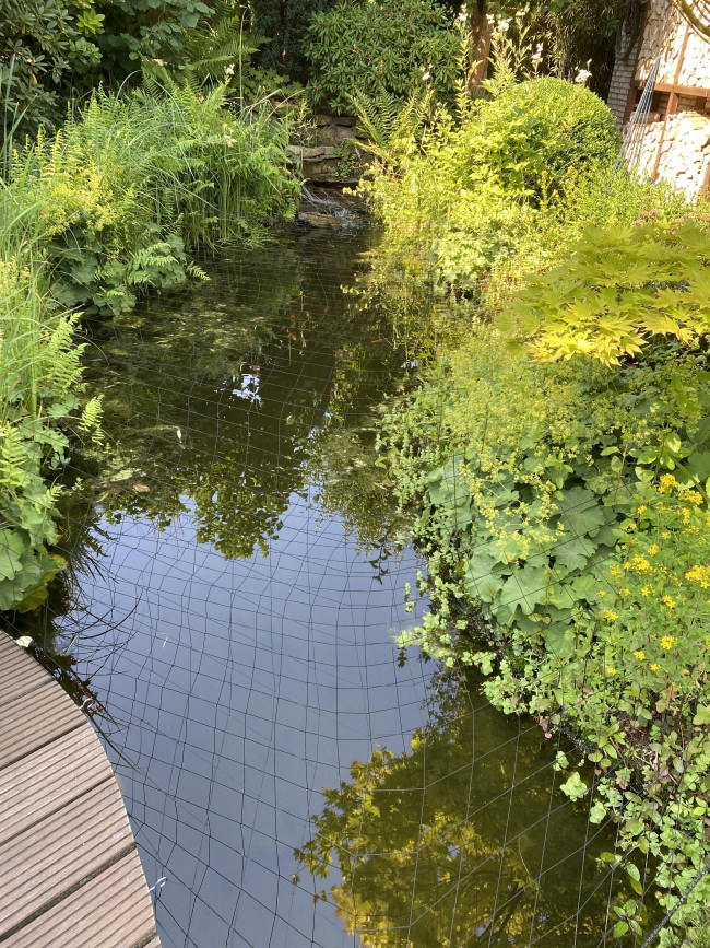 Kundenfoto von Heron Protection Net by the m² (Custom-Made), black 