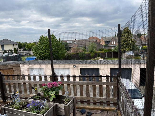 Kundenfoto von Cat Net by the m² (Made to Measure) 