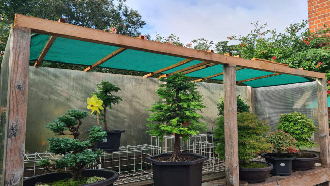 Kundenfoto von Privacy Netting - 50% - by the m² (Custom-Made) 