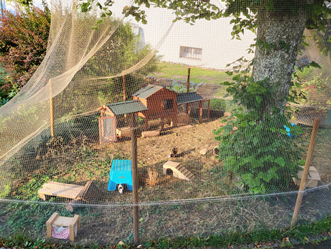 Kundenfoto von Close-meshed Bird Protection Net (Custom-Made) 