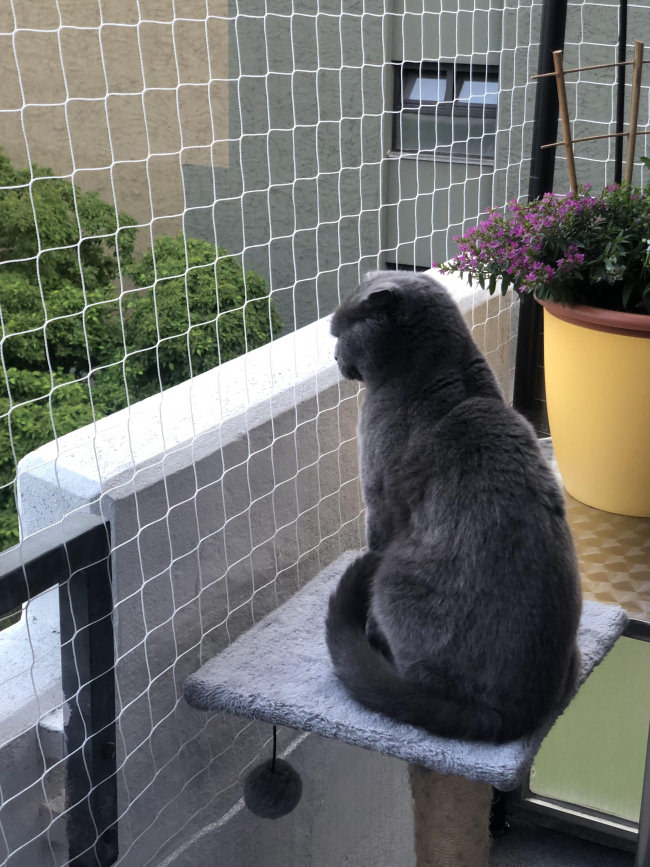 Kundenfoto von Safety Net by the m² (Made to Measure) 1.0/50 mm 