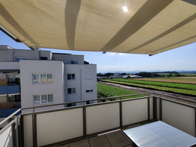 Kundenfoto von Opaque Screen Netting by the m² (Custom-Made) 