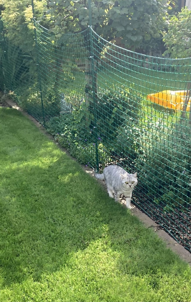 Kundenfoto von Sicherheitsnetz per m² (nach Maß) 2,3/45 mm 