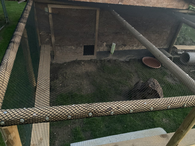 Kundenfoto von Safety Net by the m² (Custom-Made) 1.5/10 mm, Black 