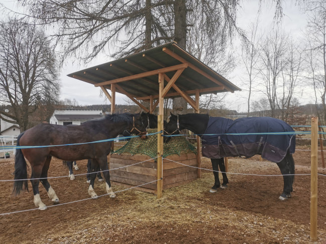 Kundenfoto von Hay Feeding Net by the m² (Custom-Made) 
