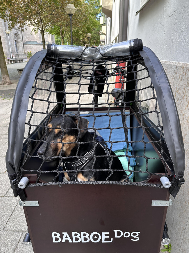 Kundenfoto von Auffangnetz für Treppenaugen nach Maß 