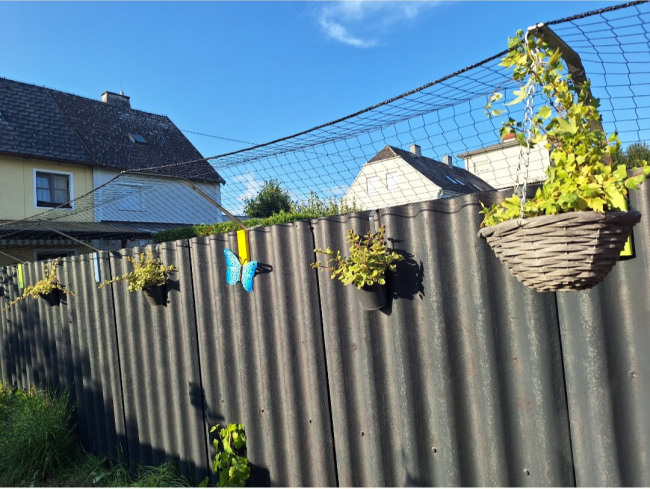 Kundenfoto von Safety Net by the m² (Made to Measure) 1.0/50 mm 