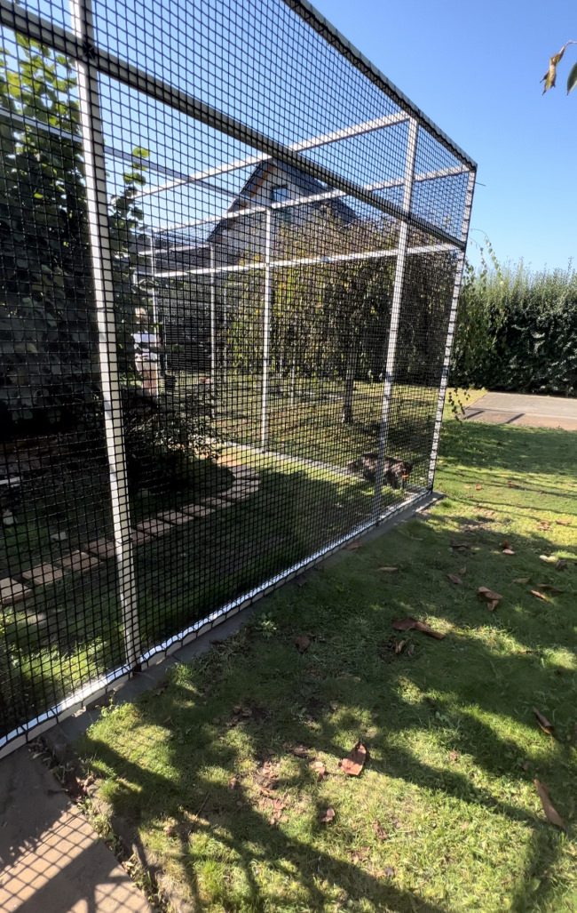 Kundenfoto von Netz nach Maß (per m²) 3,0/30 mm, schwarz 