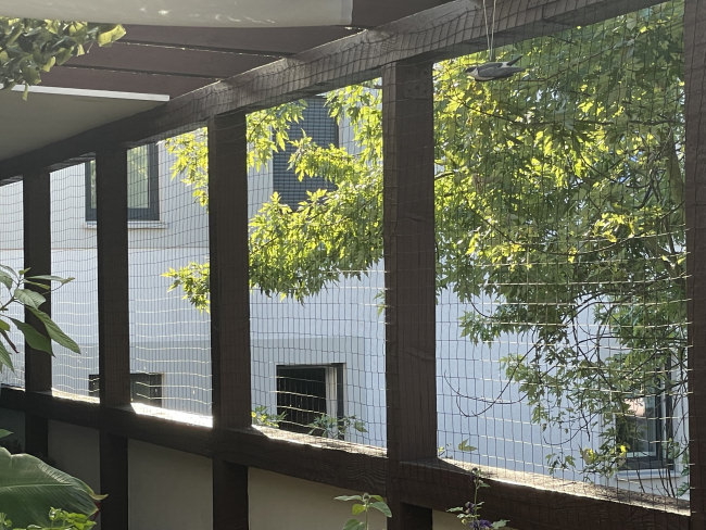 Kundenfoto von Pigeon Protection Net by the m² (Custom-Made) 