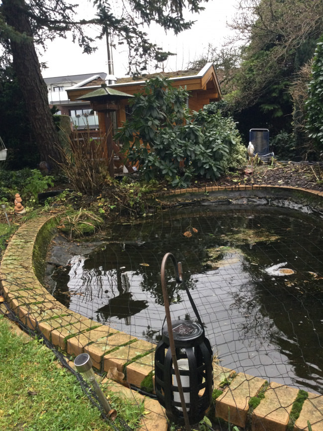 Kundenfoto von Heron Protection Net by the m² (Custom-Made), black 