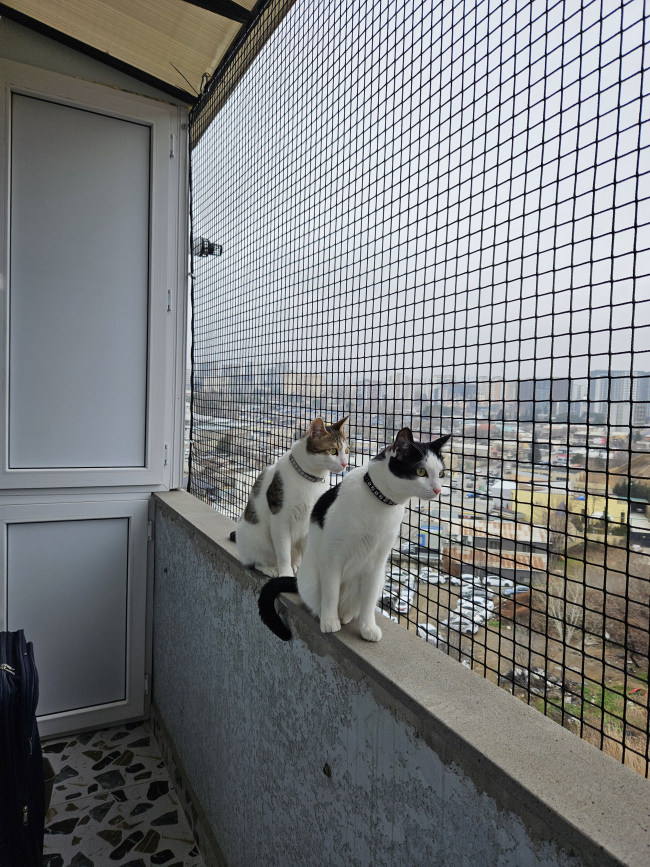 Kundenfoto von Extra Strong Cat Safety Net, Custom-Made 