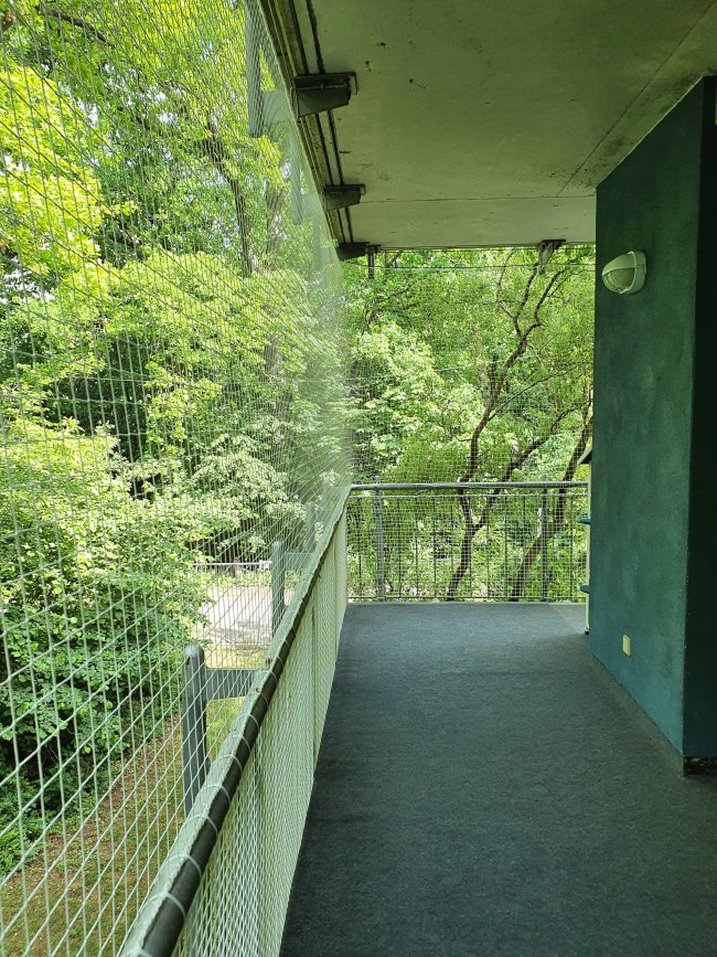 Kundenfoto von Cat Safety Net by the m² (Custom-Made) 