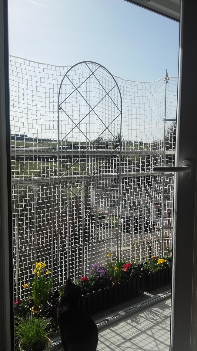 Kundenfoto von Cat Safety Net by the m² (Custom-Made) 