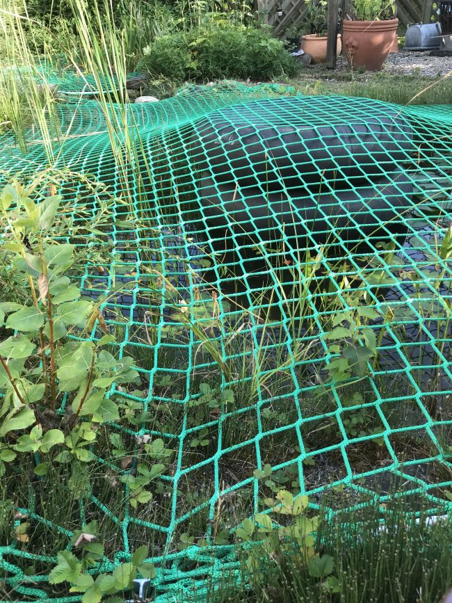 Kundenfoto von Pond Cover Net (Fall Safety Net), Made to Measure 