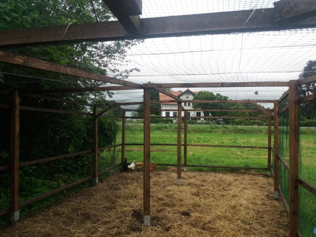 Kundenfoto von Pigeon Protection Net by the m² (Custom-Made) 