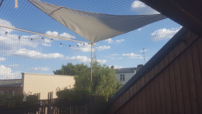 Kundenfoto von Cat Net by the m² (Made to Measure) 