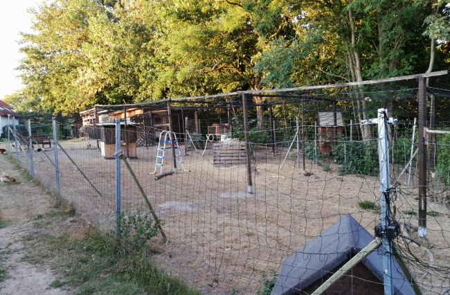 Kundenfoto von Reiher-Schutznetz per m² (nach Maß), schwarz 