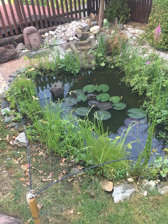 Kundenfoto von Leaf Net by the m² (Custom-Made) 