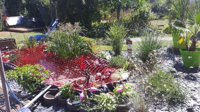 Kundenfoto von Pond Covering Net by the m² (Custom-Made) 