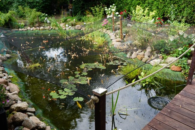 Kundenfoto von Leaf Net by the m² (Custom-Made) 