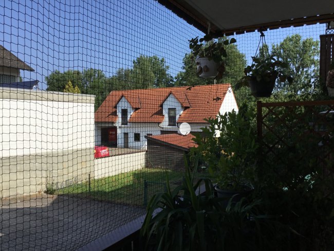 Kundenfoto von Cat Safety Net by the m² (Custom-Made) 