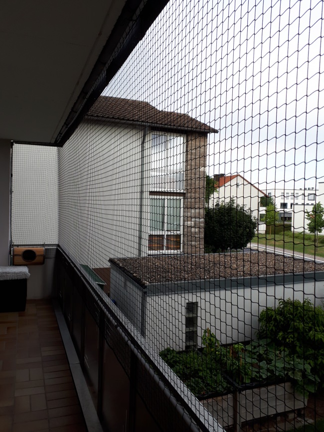 Kundenfoto von Cat Safety Net by the m² (Custom-Made) 