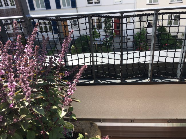 Kundenfoto von Extra Strong Cat Safety Net, Custom-Made 