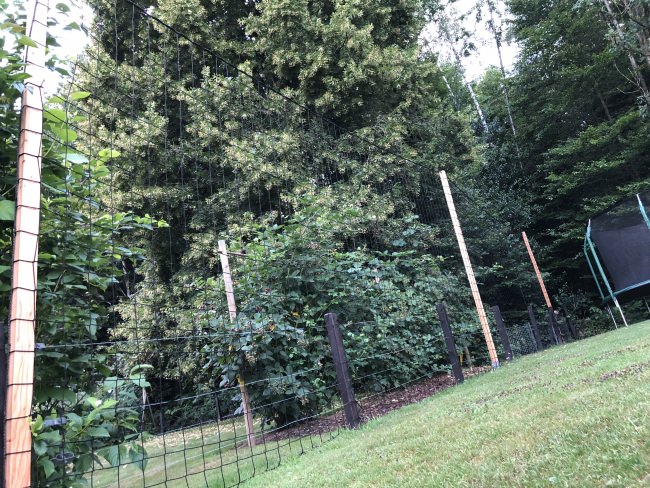 Kundenfoto von Fußballfangnetz per m² (nach Maß) 