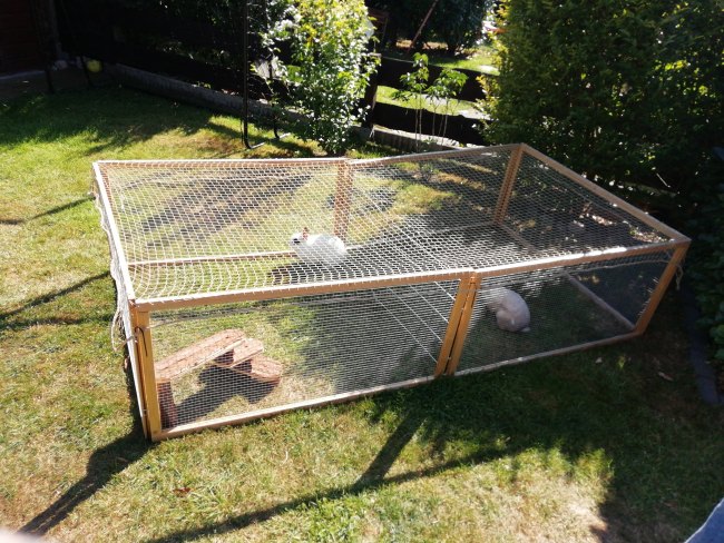 Kundenfoto von Bird Protection Net with Border, by the m² (Custom-Made) 