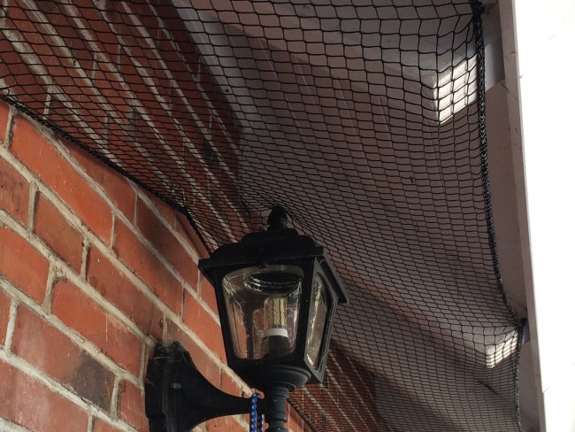 Kundenfoto von Schutznetz nach Maß (per m²) 1,0/20 mm 