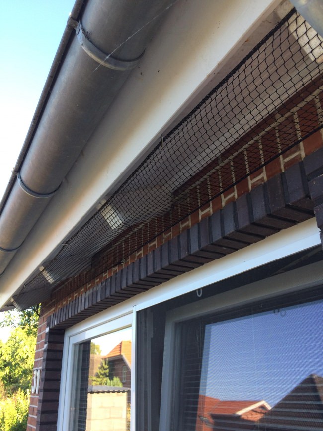 Kundenfoto von Schutznetz nach Maß (per m²) 1,0/20 mm 