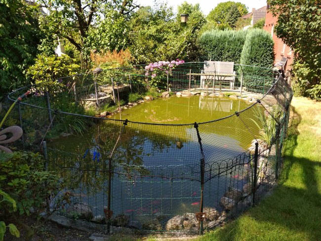 Kundenfoto von Taubenschutznetz per m² (nach Maß) 