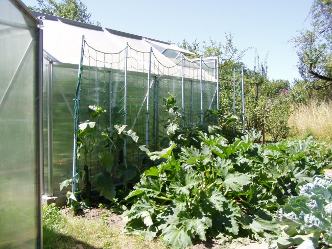 Kundenfoto von Sicherheitsnetz per m² (nach Maß) 