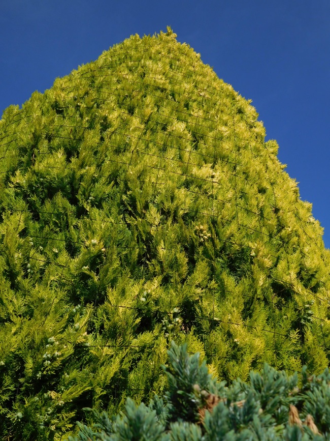 Kundenfoto von Sicherheitsnetz per m² (nach Maß) 1,5/100 mm 
