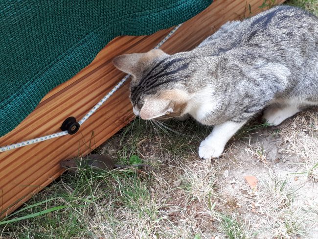 Kundenfoto von Shock Cord 6 mm - Available by the Meter 