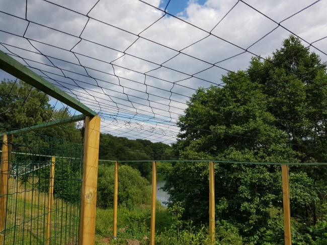 Kundenfoto von Reiher-Schutznetz per m² (nach Maß), schwarz 