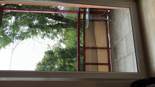 Kundenfoto von Extra Strong Cat Safety Net, Custom-Made 