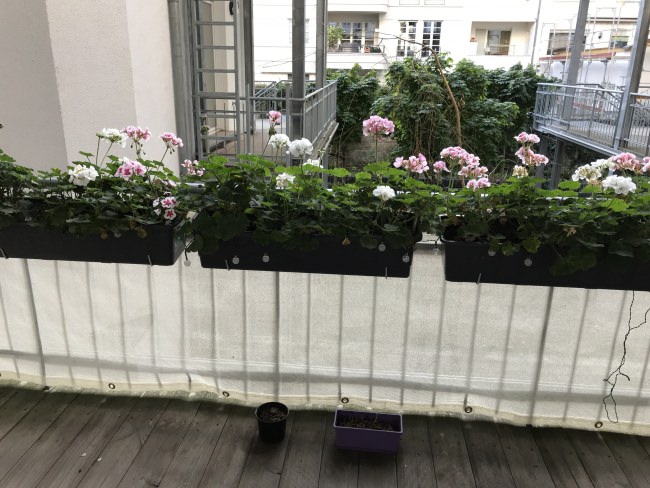 Kundenfoto von Privacy Netting - 50% - by the m² (Custom-Made) 