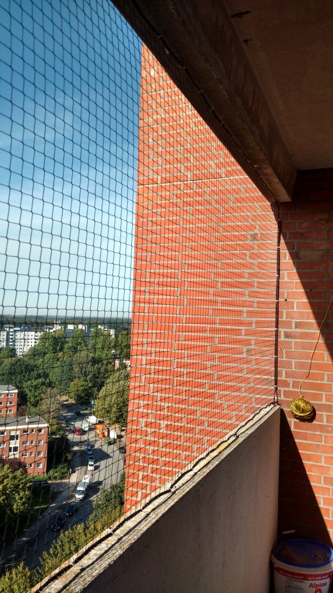 Kundenfoto von Bird Protection Net with Border, by the m² (Custom-Made) 