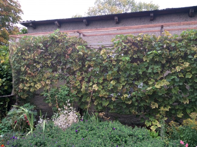 Kundenfoto von Vogelschutznetz per m² (nach Maß) 