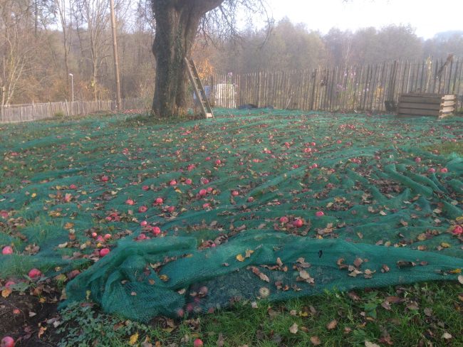 Kundenfoto von Erntenetz 2,95 x 100,00 m 