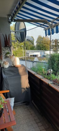 Cat Safety Net by the m² (Custom-Made) | Safetynet365