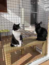 Cat Safety Net by the m² (Custom-Made) | Safetynet365