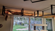 Cat Safety Net by the m² (Custom-Made) | Safetynet365