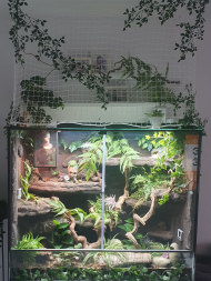 Cat Safety Net by the m² (Custom-Made) | Safetynet365