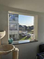 Cat Safety Net by the m² (Custom-Made) | Safetynet365