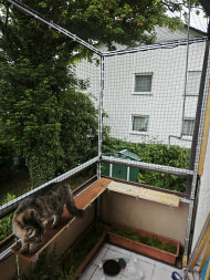 Cat Safety Net by the m² (Custom-Made) | Safetynet365