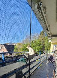 Cat Safety Net by the m² (Custom-Made) | Safetynet365