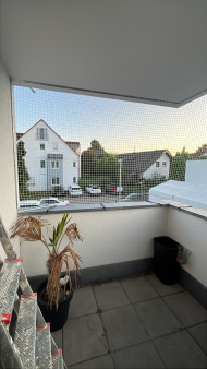 Cat Safety Net by the m² (Custom-Made) | Safetynet365