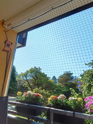 Cat Safety Net by the m² (Custom-Made) | Safetynet365